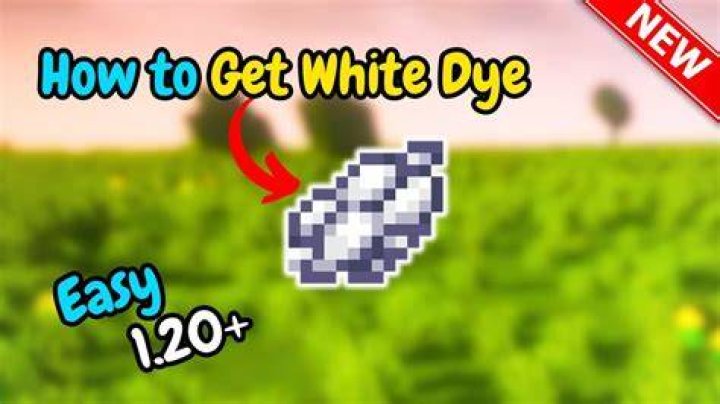 Where to get white dye in minecraft