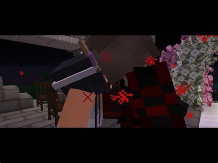 Which minecraft diaries character likes you
