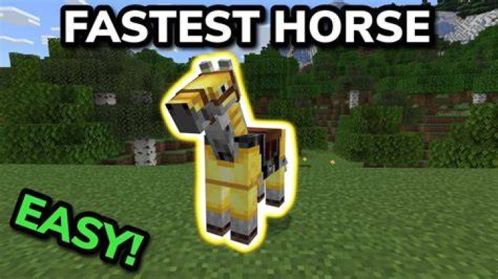 Which minecraft horse is the fastest