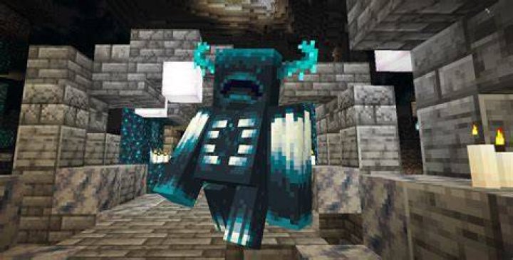 Why is the warden not in minecraft
