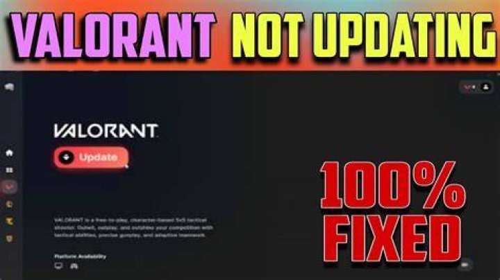 Why is valorant stuck on 95 updating