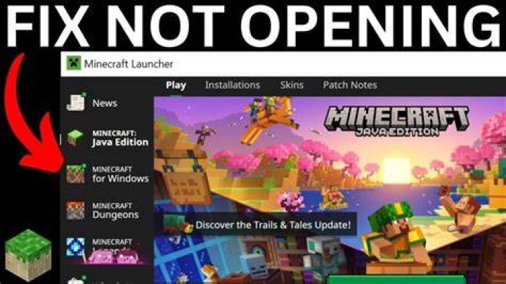 Why isn’t my minecraft working on ps4